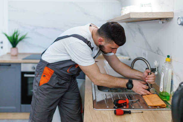 Best Plumbing Inspection Services  in Ely, MN