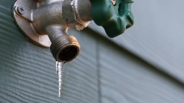 Best Local Plumber Services  in Ely, MN